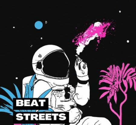 Lazerdisk Beat Streets WAV